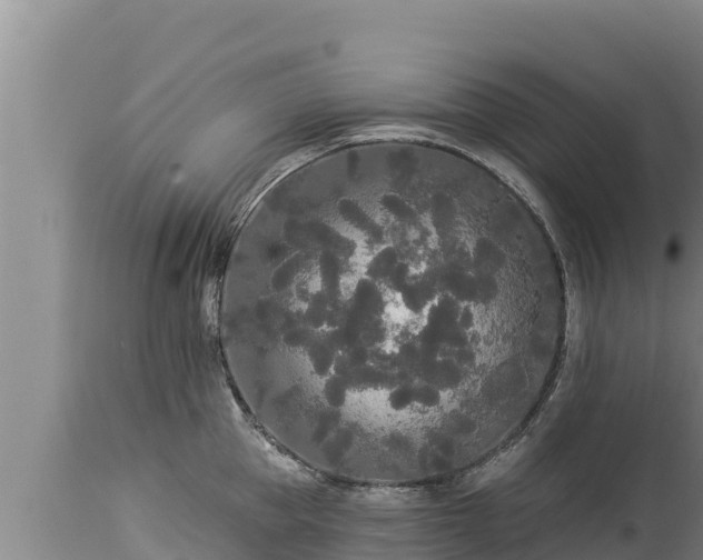 X0000112820953200908281528