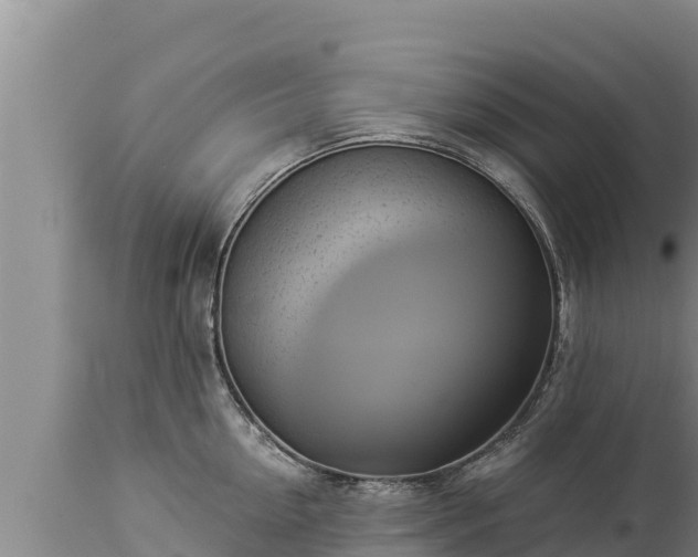 X0000112820954200908281528