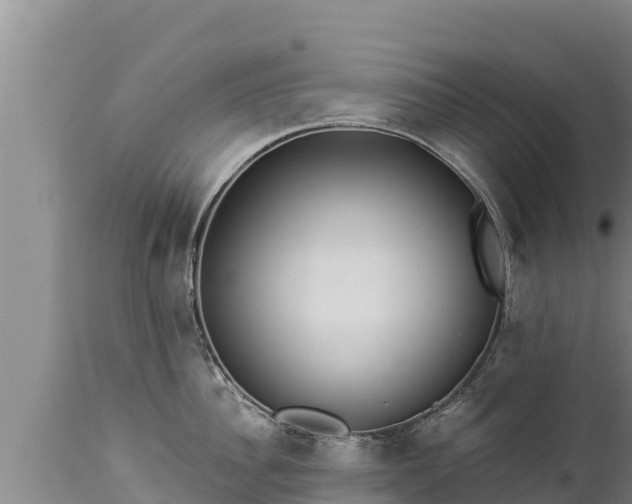 X0000112820956200908281528