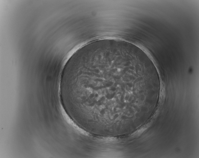 X0000112820957200908281528