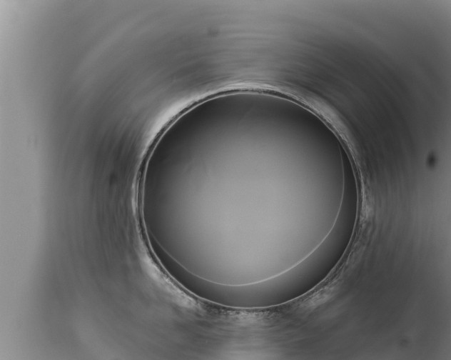 X0000112820958200908281528