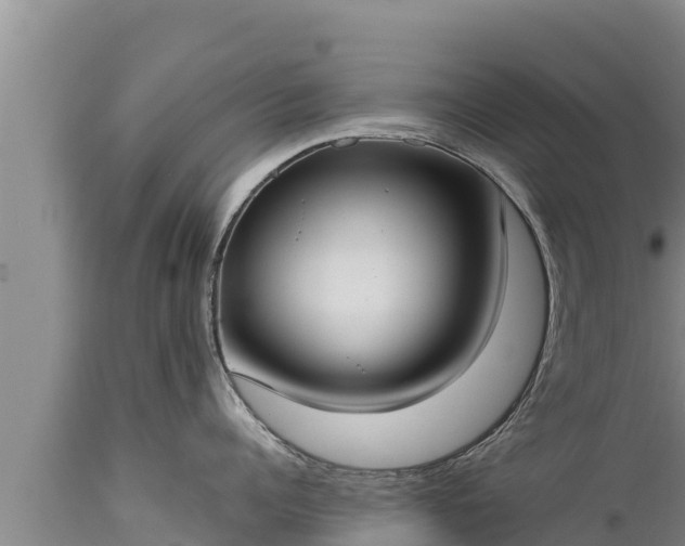 X0000112820960200908281528