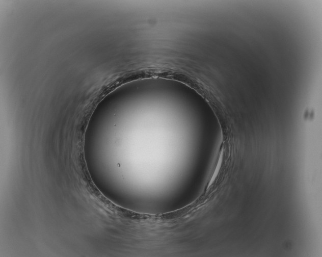 X0000112820961200908281527