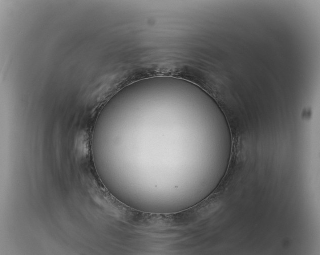 X0000112820962200908281527