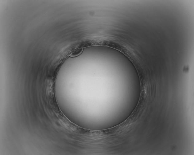 X0000112820964200908281527