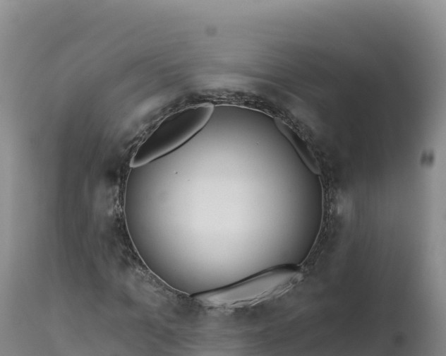 X0000112820965200908281527