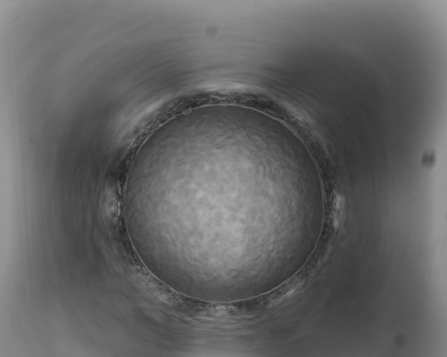 X0000112820966200908281527