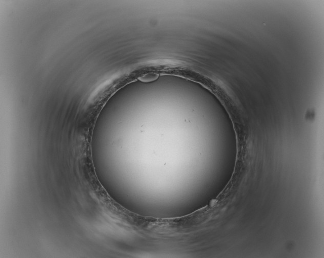 X0000112820967200908281527