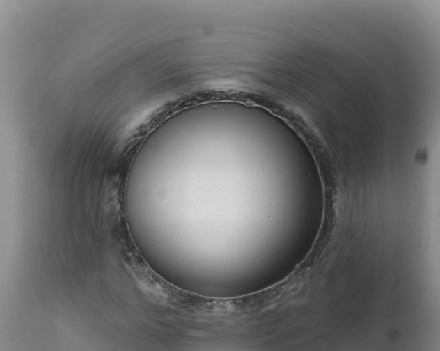 X0000112820968200908281527