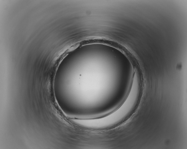 X0000112820969200908281527