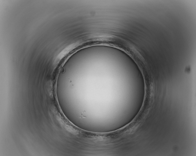 X0000112820970200908281527