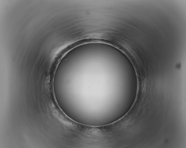 X0000112820971200908281527