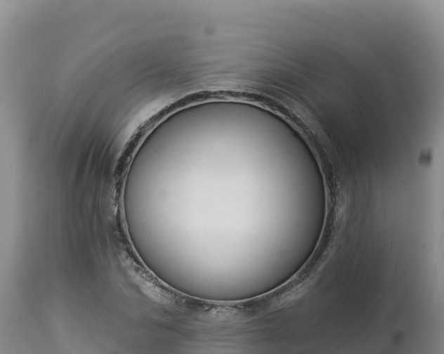 X0000112820974200908281527