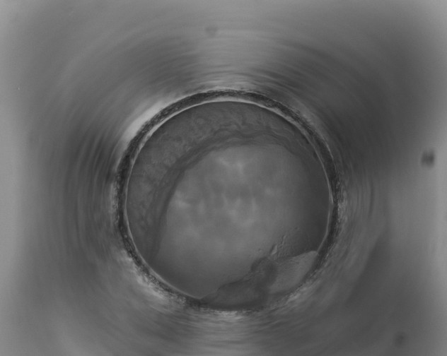 X0000112820975200908281527