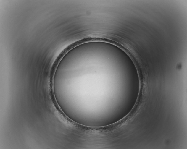 X0000112820976200908281527