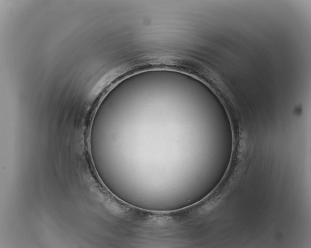 X0000112820978200908281527