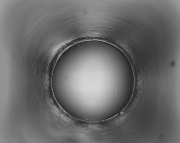 X0000112820979200908281527