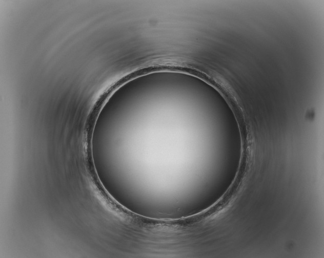 X0000112820981200908281527