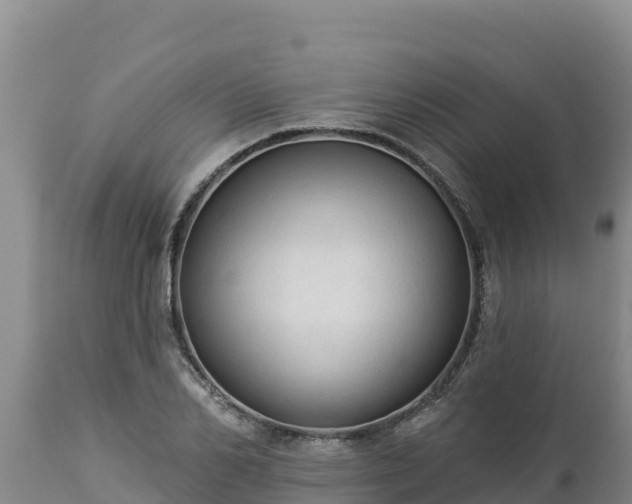 X0000112820982200908281527