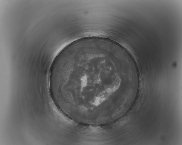 X0000112820983200908281527