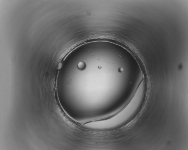 X0000112820985200908281527