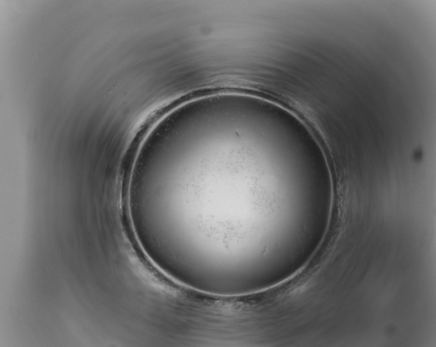 X0000112820987200908281527
