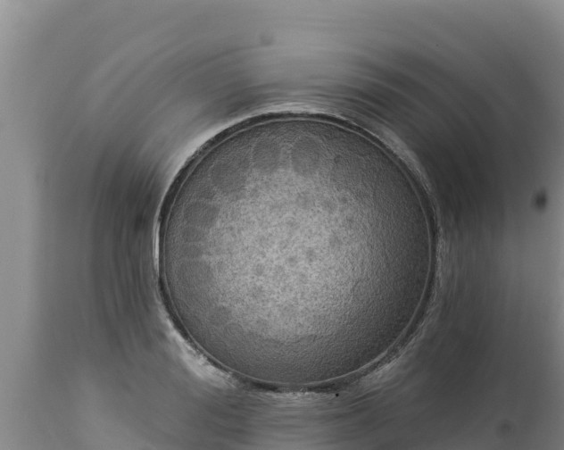 X0000112820988200908281527