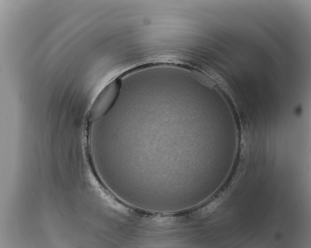 X0000112820989200908281527