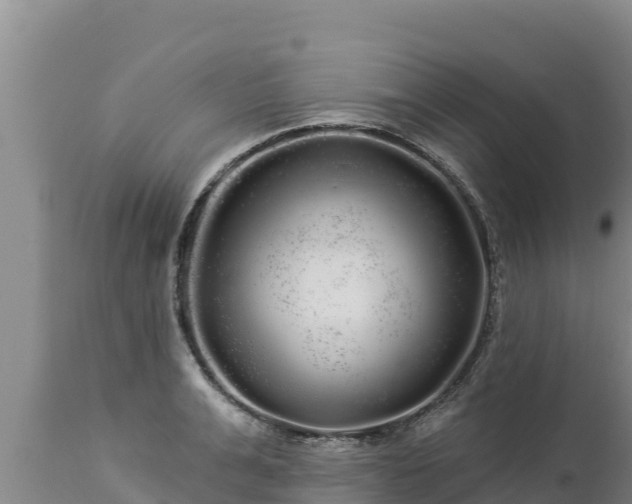 X0000112820991200908281526
