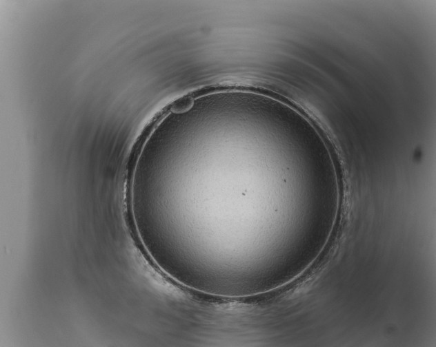 X0000112820992200908281526