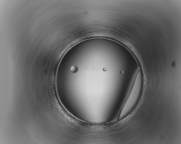 X0000112820993200908281526