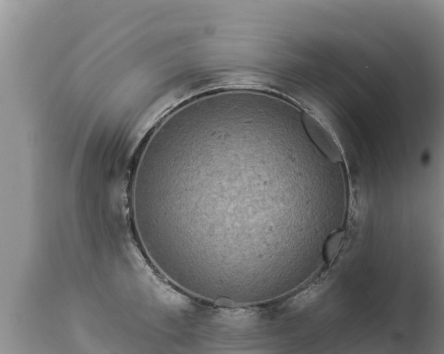 X0000112820997200908281526