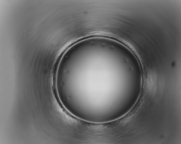 X0000112820999200908281526