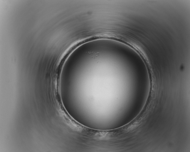 X0000112821000200908281526