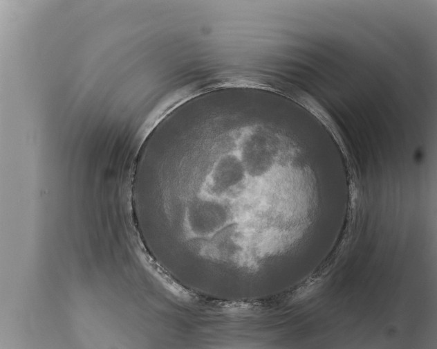 X0000112821002200908281526