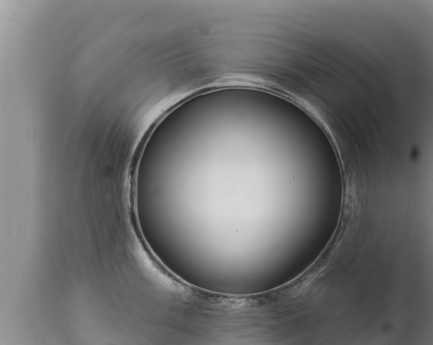X0000112821003200908281526