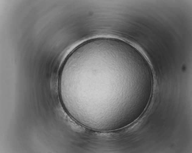 X0000112821004200908281526