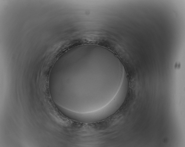 X0000112821009200908281526