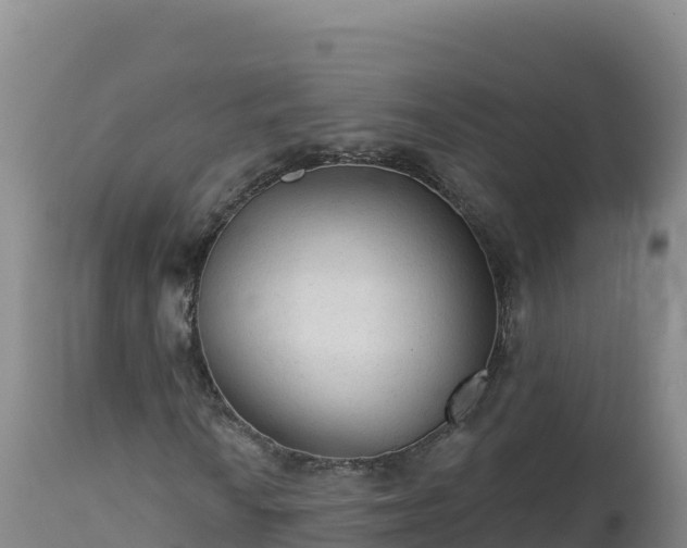 X0000112821010200908281526