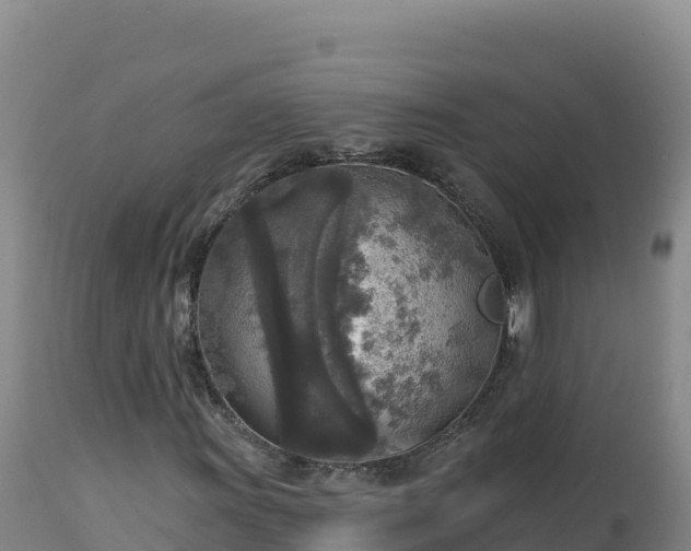 X0000112821011200908281526