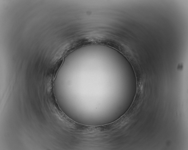 X0000112821012200908281526