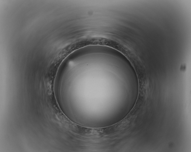 X0000112821013200908281526