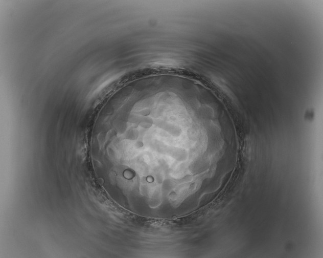 X0000112821015200908281526