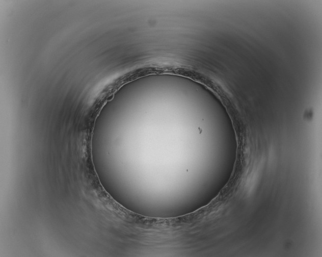 X0000112821016200908281526