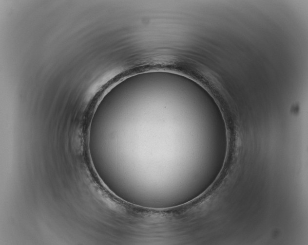 X0000112821018200908281526