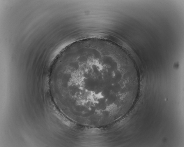 X0000112821019200908281526