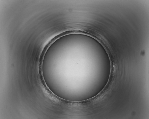 X0000112821020200908281526