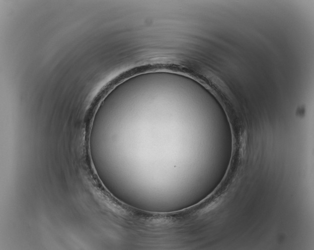 X0000112821021200908281526