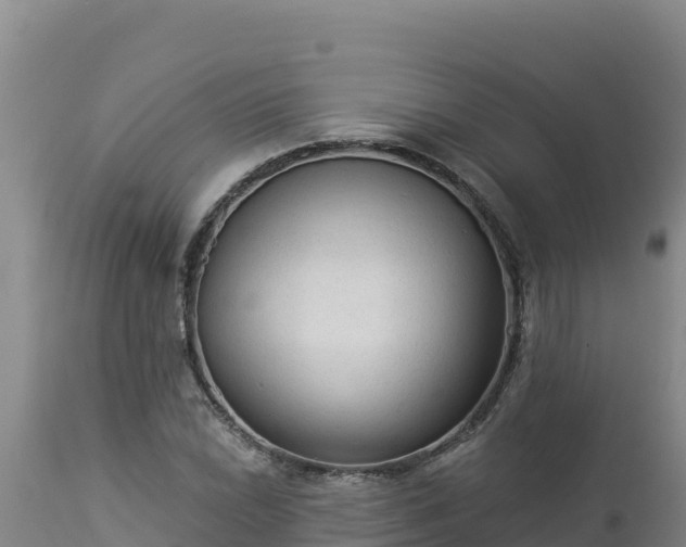 X0000112821022200908281526