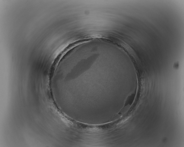 X0000112821023200908281526